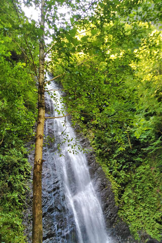 Nature's Cascade: A Serene Waterfall Escape 🌊🍃