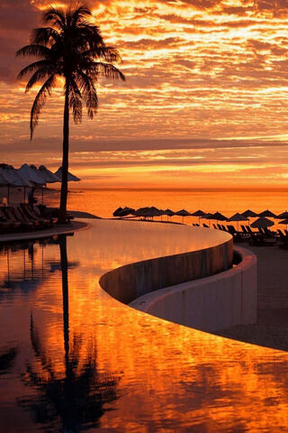 Tropical Sunset Bliss 🌅🌴