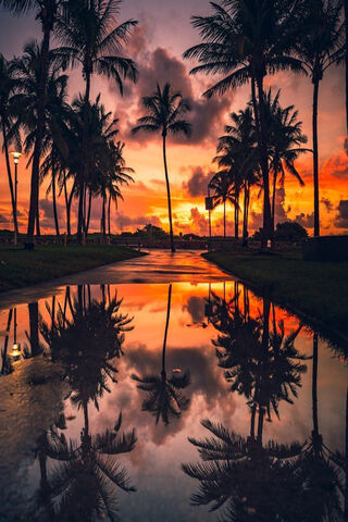 Tropical Twilight Bliss 🌅
