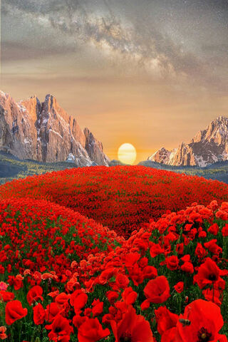 Sunset Serenity at Flowery Mountain 🌄🌺