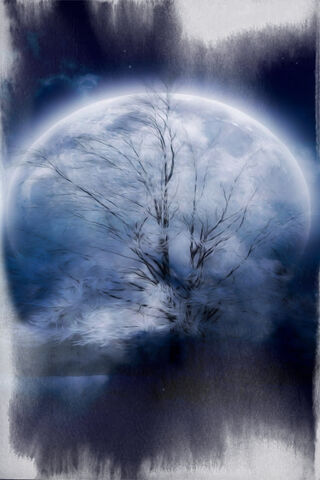 Luminous Night: The Enchanted Full Moon 🌕✨