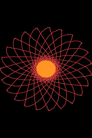 Radiant Petals of Harmony 🌼✨