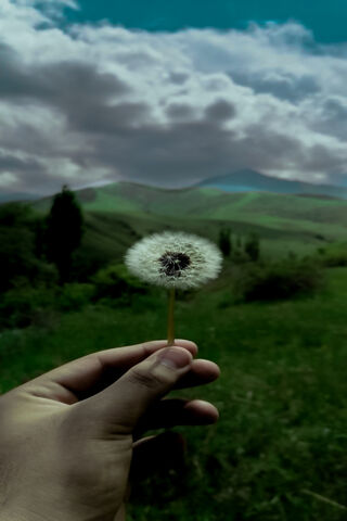 Whispers of the Hills 🌄✨