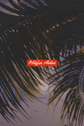 Tropical Vibes: Hafa Adai Escape 🌴✨