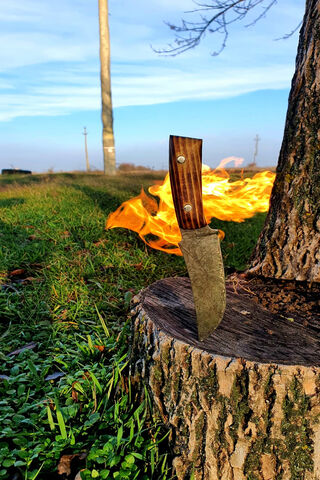 Blazing Edge: The Art of the Knife 🔥🔪