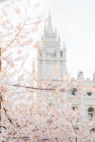 LDS Temple Flowers