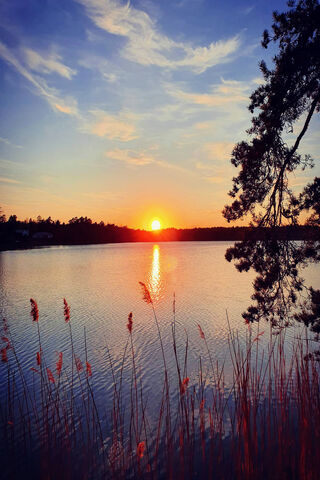 Sunset Serenity: Embracing Lake Life 🌅