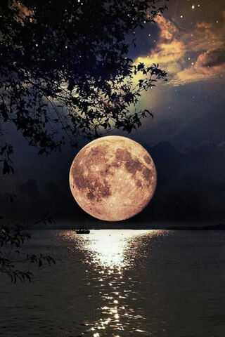 Whispers of the Moonlight 🌙✨
