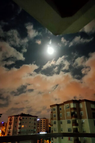 Moonlit Dreams 🌙✨