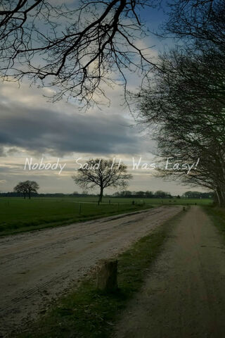 The Journey of Life: Embracing the Challenge 🌳✨