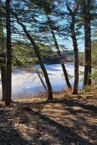 Tranquil Reflections in the Woods 🌲✨