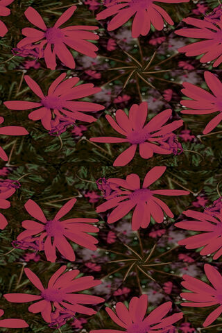 Vibrant Blooms: Rojo Tumblr Delight 🌸✨