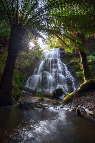 Nature's Cascade: A Serene Waterfall Escape 🌊🌿