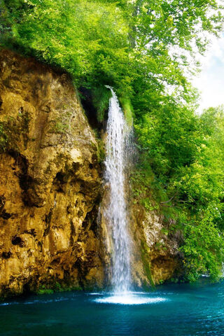Nature's Cascade: The Serenity of River Fall 🌊🍃