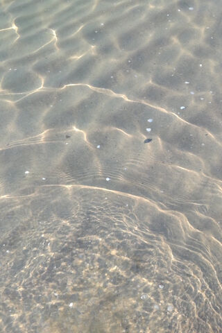 Tranquil Tides: A Glimpse of Sea Coast Serenity 🌊✨