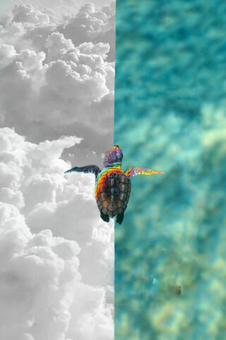 Turtle Dreams: A Journey Between Worlds 🌊☁️