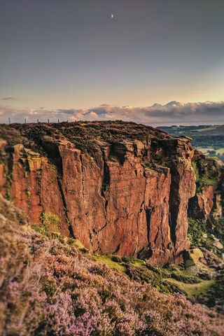 Nature's Unexpected Marvel: The Surprise Rock Face 🌄✨
