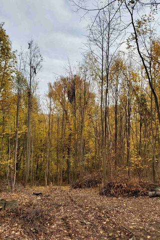 Whispers of Autumn 🍂