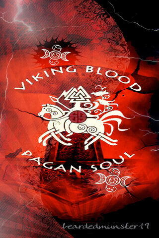 Vikings Blood