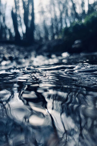 Whispers of the Woodland Stream 🌊🌲