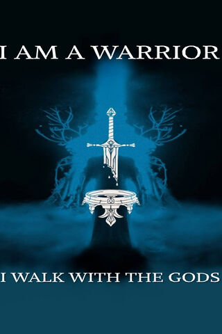 Echoes of Valor: The Warrior's Oath