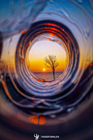 Framed Serenity: A Sunset Through Nature's Lens 🌅🌳