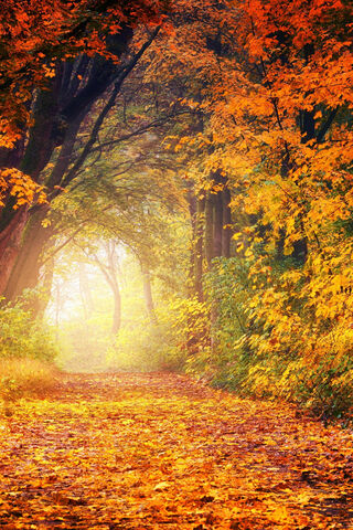 Autumn