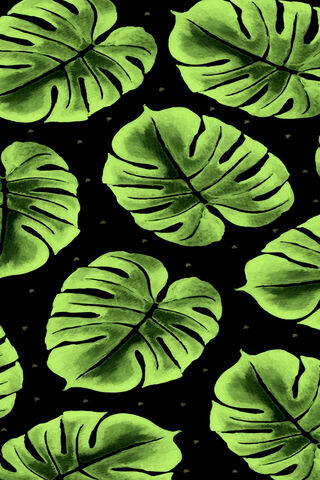 Tropical Vibes: Embrace Nature with Android 12 🌿✨