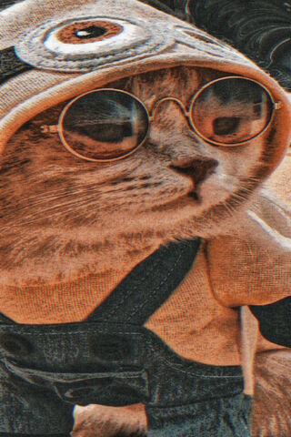 Cool Cat Vibes 😎🐾