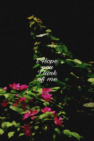 Whispers of Nature 🌿💖