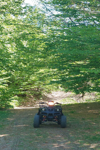 Adventure Awaits: The ATV Trail 🚜🌲