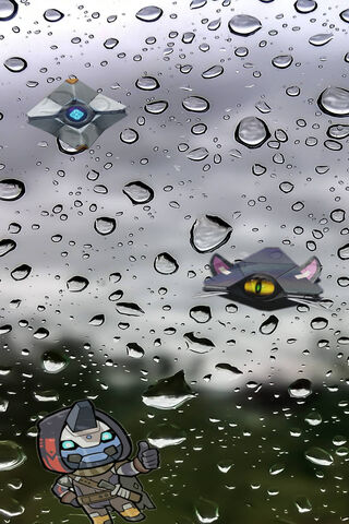 Rainy Reflections in the Light of Destiny