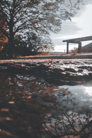 Reflections of Autumn Bliss 🍂✨