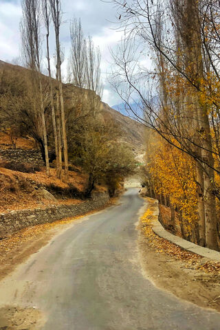 Golden Pathways of Autumn 🍂✨