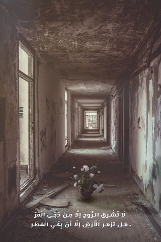 Whispers of the Abandoned Bloom 🌸