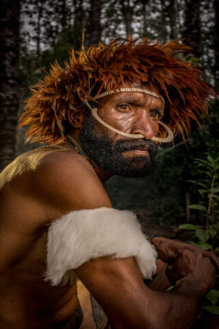 Echoes of Africa: A Journey Through Heritage 🌍✨