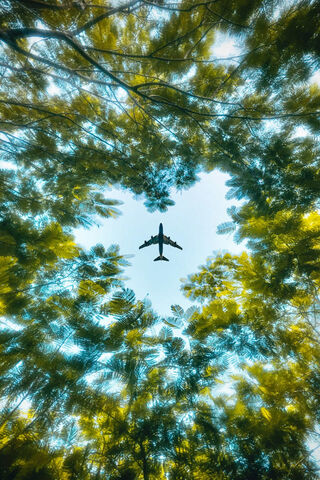 Aerial