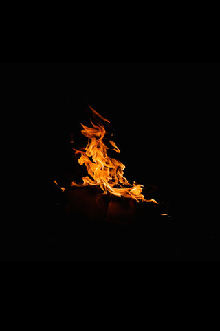 Dancing Flames: The Heart of the Bonfire 🔥