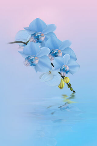 Serenity in Blue: A Floral Dream 🌸💙