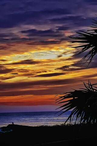 Sunset Serenity at the Beach 🌅