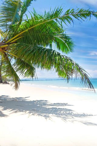 Tropical Paradise Await..