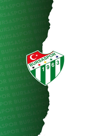 Bursaspor: The Heart of Turkish Football! ⚽️💚