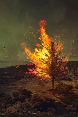 Inferno's Embrace: The Burning Tree