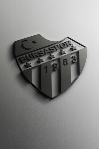 Bursaspor: The Heart of Turkish Football ⚽️🇹🇷