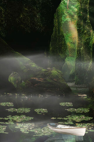 Serenity on the Water 🌿🚤
