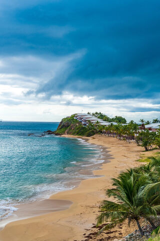 Serenity by the Shore 🌊🌴