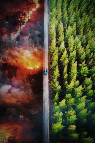 Nature's Duality: The Calm and the Chaos 🌿🔥