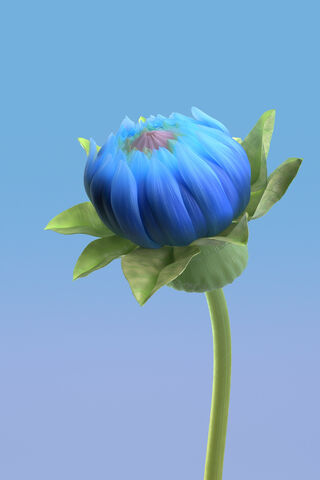 Mystical Blue Blossom 🌸✨