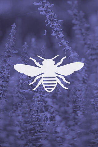 Buzzing into the Blue: The Bumblebee's World 🐝💙