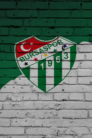 Bursaspor: A Legacy in Green and White 🌟⚽